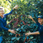 Fazenda Dutra